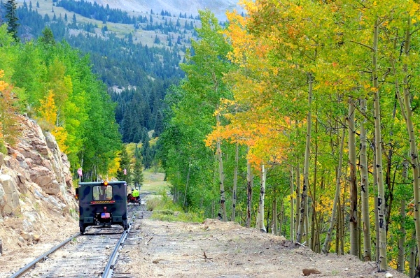 photo of speeders with fall colors trees